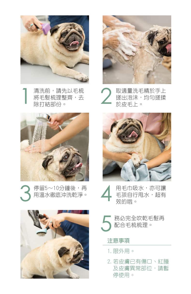 Arf Arf 旺芙 法鬥犬專屬 寵物洗毛精組合 Arf Arf 旺芙